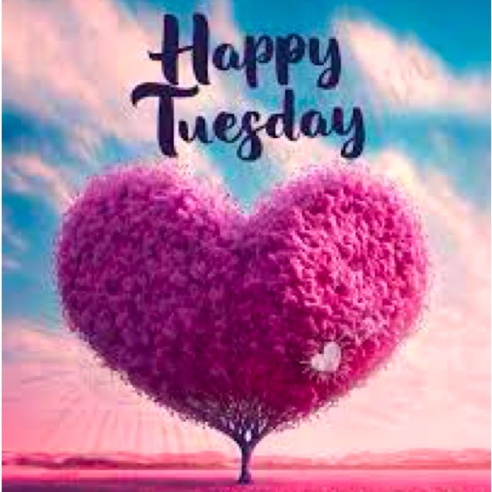 TuesYAY live